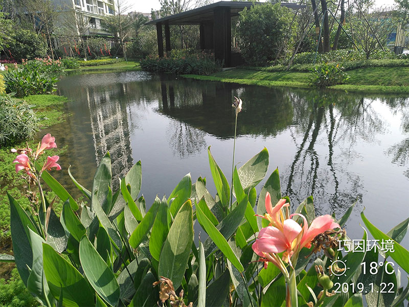 水体生态修复调水养水