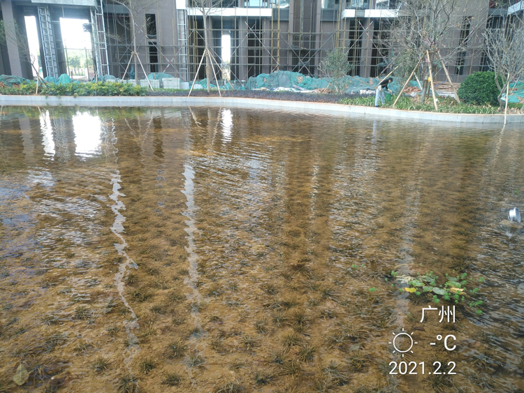 广州都湖国际